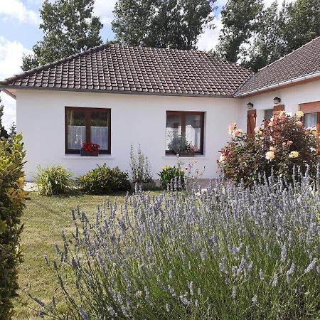 Studio Du Gite Wavrans-sur-l'Aa エクステリア 写真