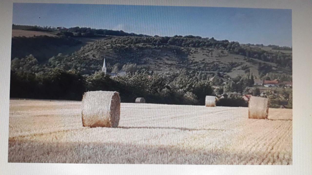 Studio Du Gite Wavrans-sur-l'Aa エクステリア 写真